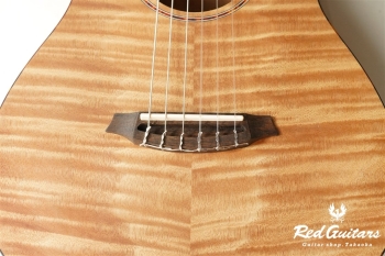Mini II FMH